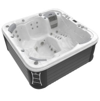 Гидромассажный спа-бассейн Wellis Lugano Life Deluxe Гидромассажный спа-бассейн Wellis Lugano Life Deluxe